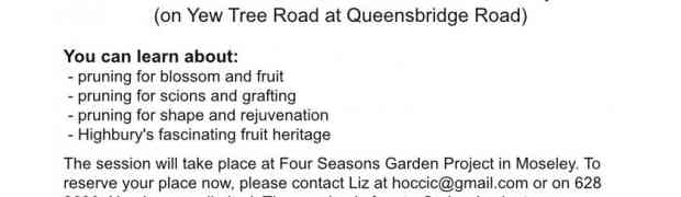 Apple Tree Pruning Workshop