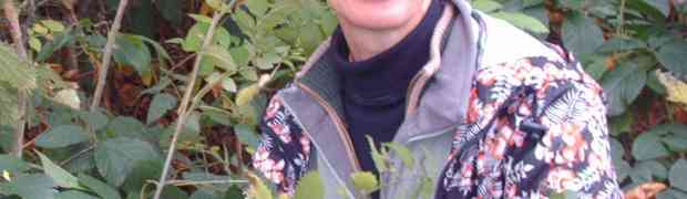 Highbury Harvest stories and pictures