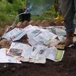 layering up with newspaper and water