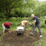 Nerys, Liz, Ian clearing keyhole garden base